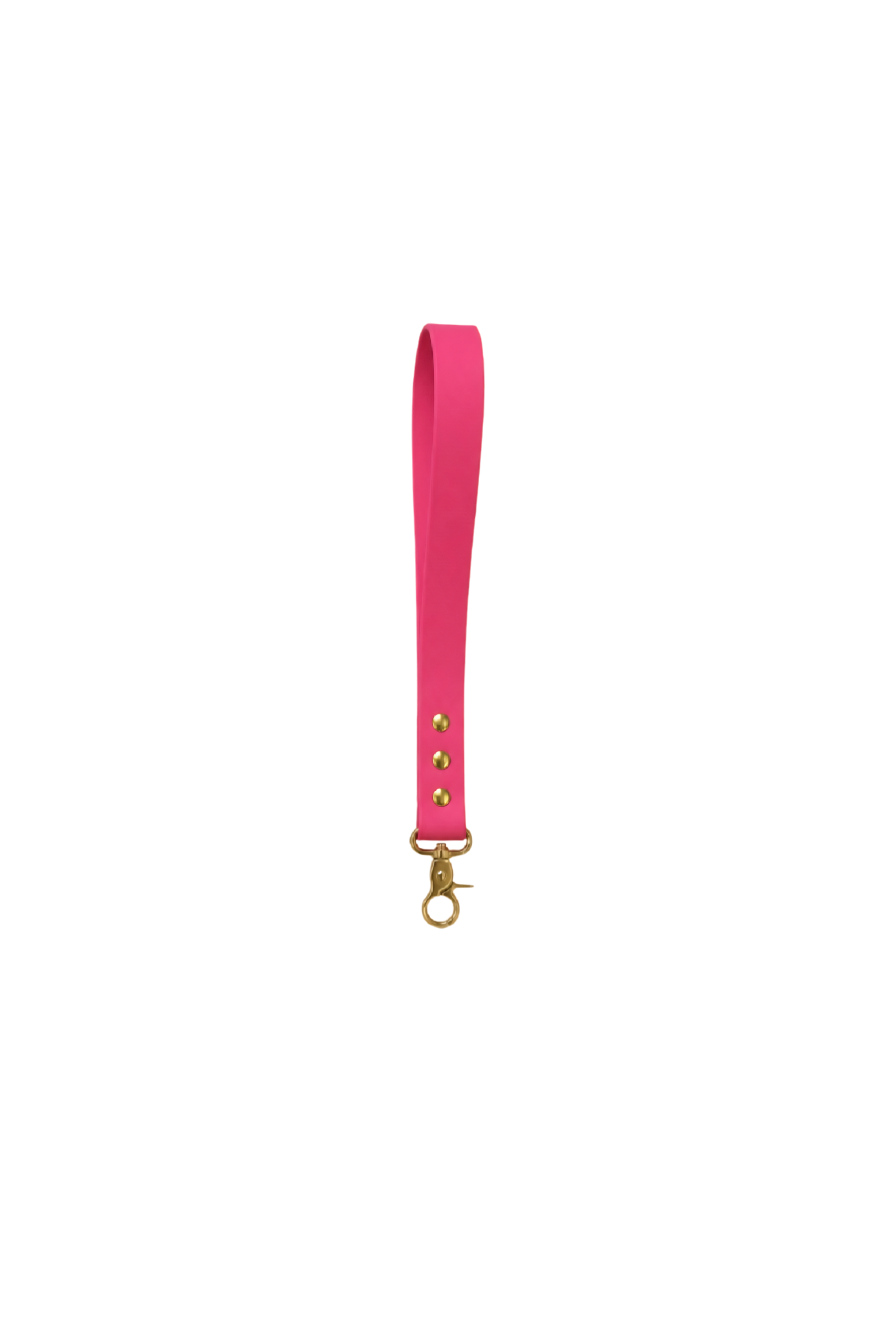 Poignée de laisse chien en Biothane – Rose