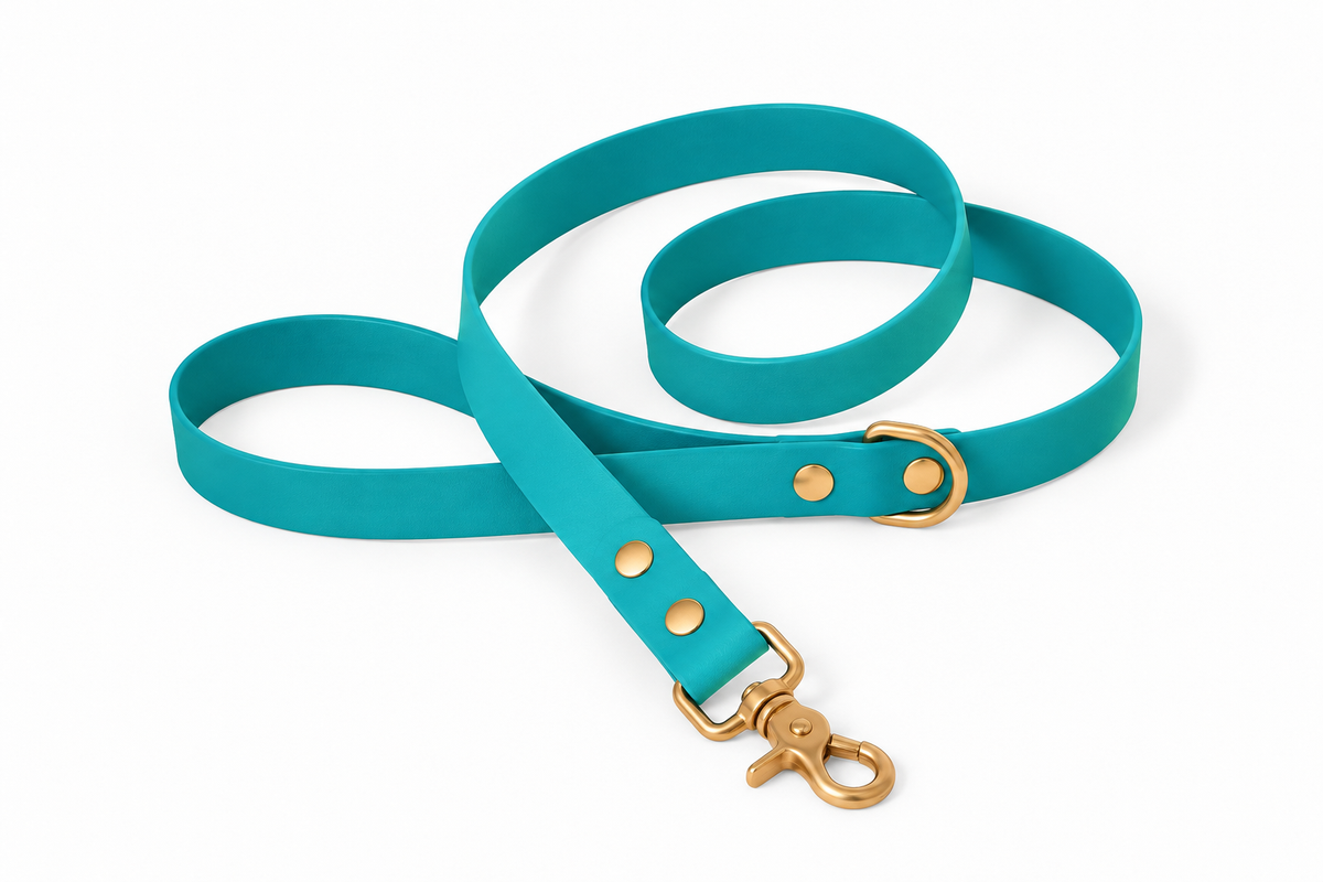 Laisse classique en Biothane® Collection Monochrome | Turquoise