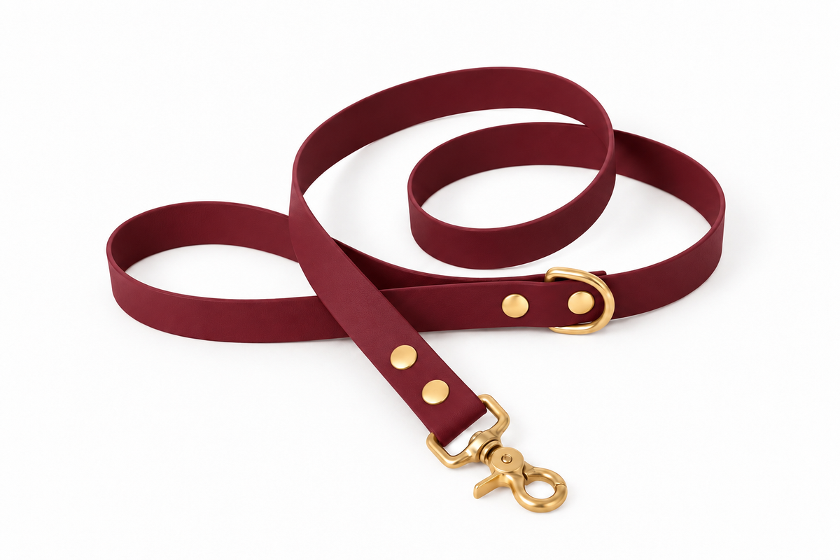 Laisse classique en Biothane® Collection Monochrome | Crimson Rouge