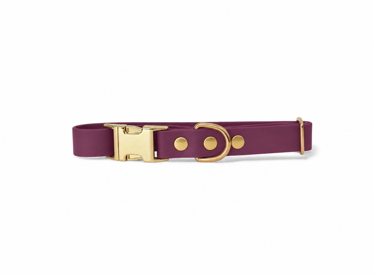 Collier Biothane® Collection Monochrome | Grape