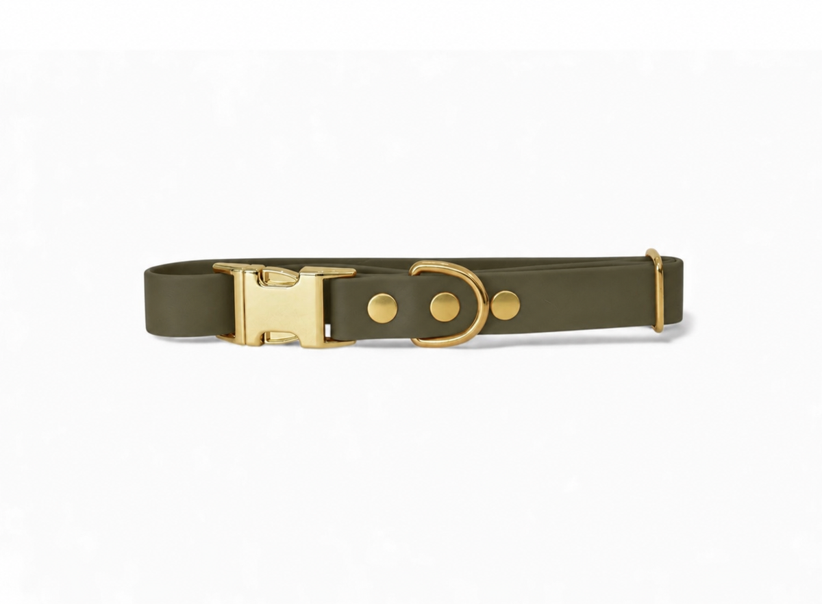 Collier Biothane® Collection Monochrome | Vert Olive