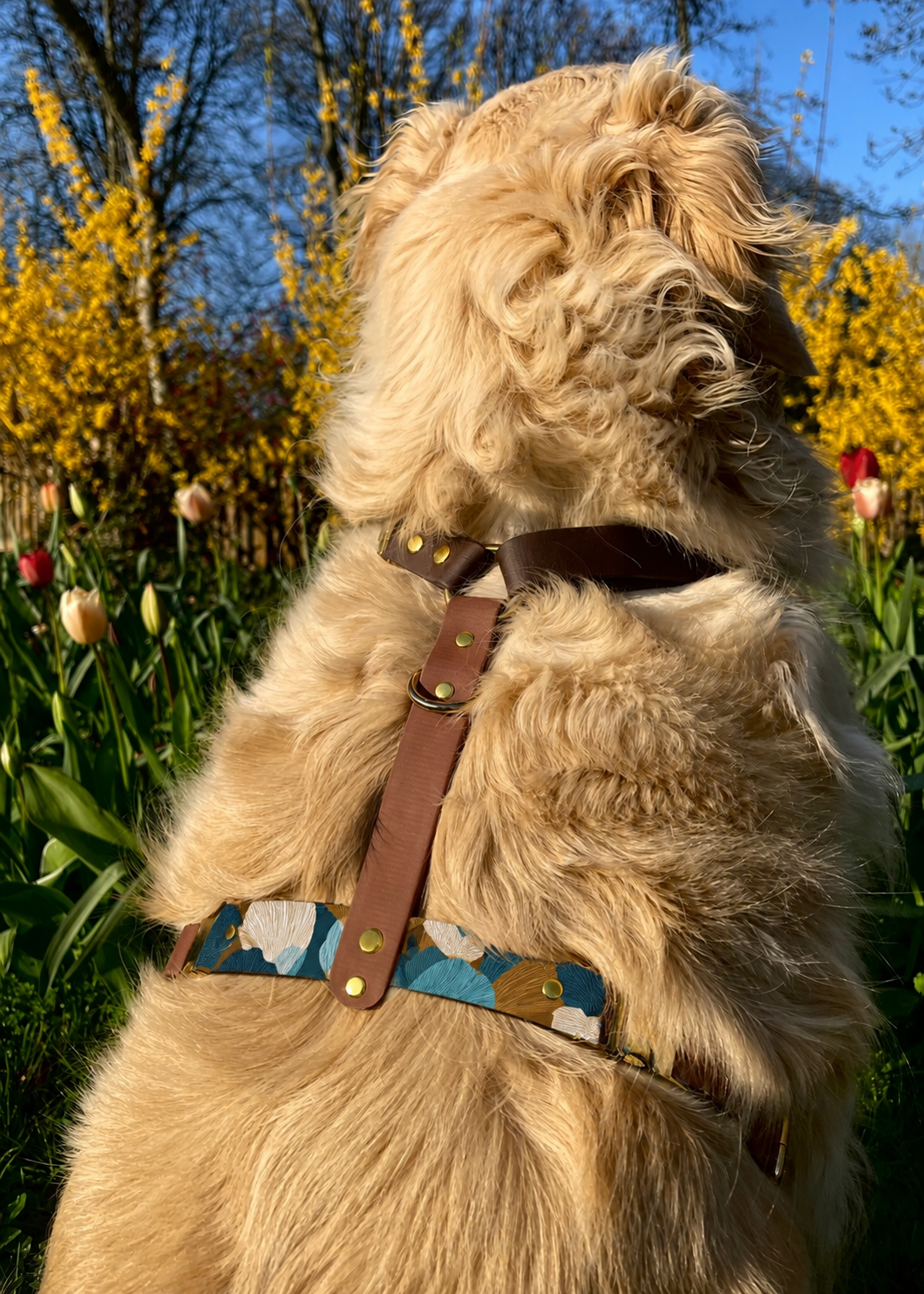 Harnais chien en Biothane personnalisé