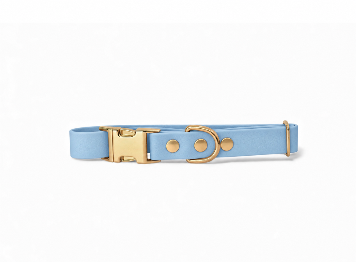 Collier Biothane® Polar Bleu