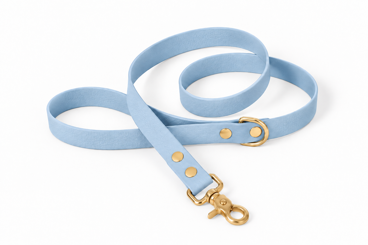 Laisse classique en Biothane® Collection Monochrome | Polar Bleu