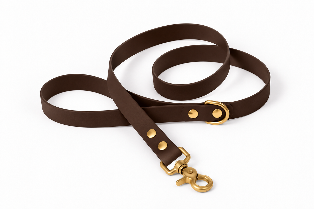 Laisse classique en Biothane® Collection Monochrome | Marron Foncé