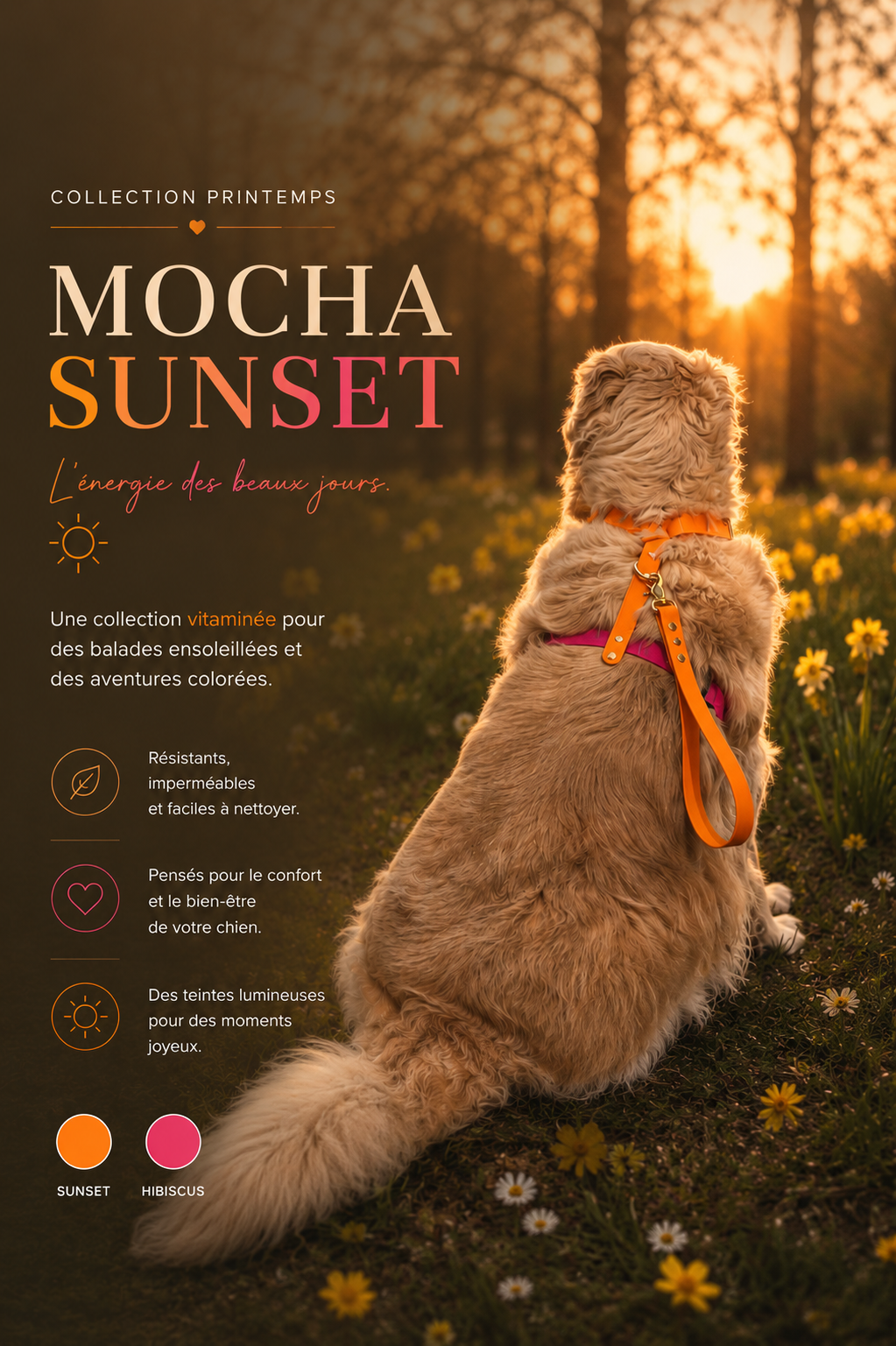 MOCHA SUNSET