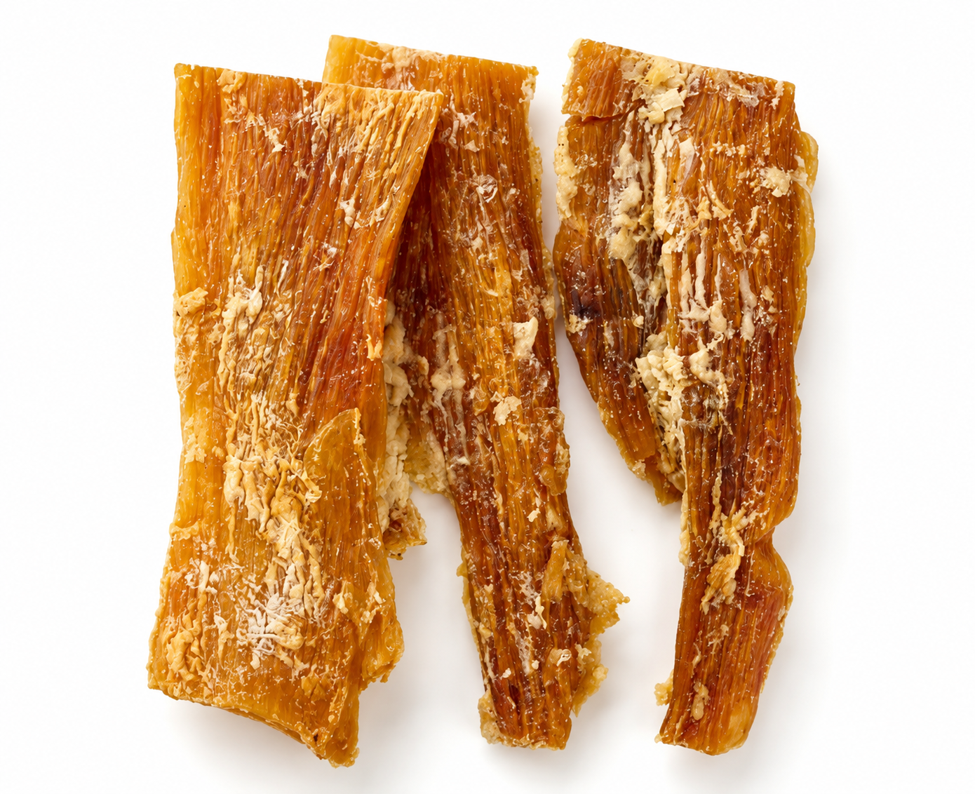 Tendon de bœuf pour chien