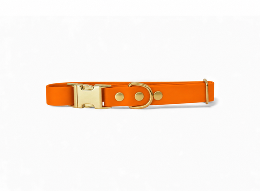 Collier Biothane® Collection Monochrome | Orange