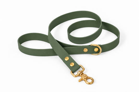 Laisse classique en Biothane® Collection Monochrome | Foggy Vert