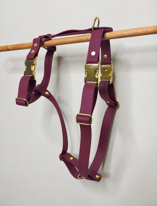 Harnais en Biothane® Collection Monochrome | Grape