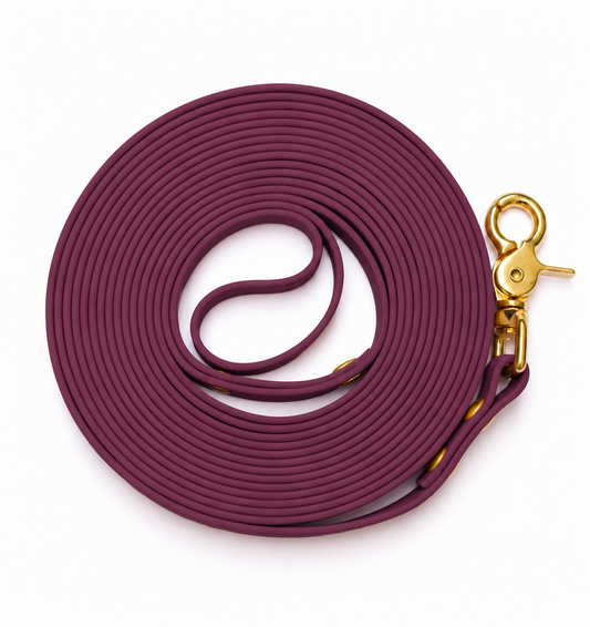 La longe en Biothane® Collection Monochrome | Grape