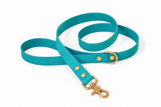 Laisse classique en Biothane® Collection Monochrome | Turquoise
