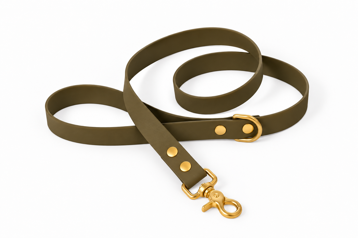 Laisse classique en Biothane® Collection Monochrome | Vert Olive