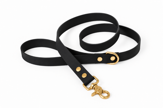 Laisse classique en Biothane® Collection Monochrome | Noir