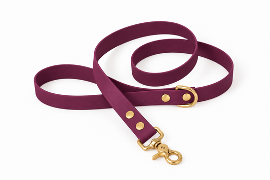 Laisse classique en Biothane® Collection Monochrome | Grape