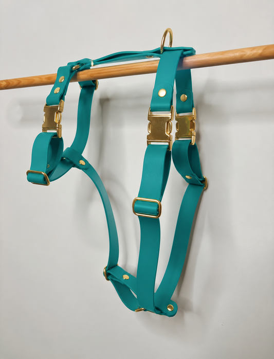 Harnais en Biothane® Collection Monochrome | Turquoise