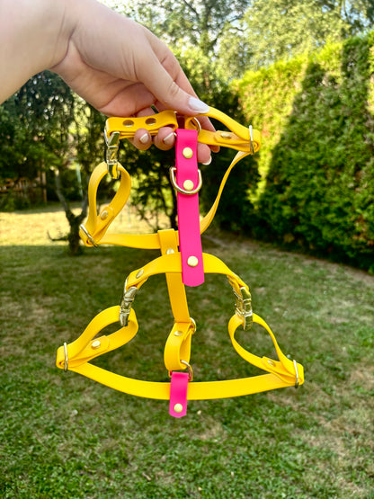Harnais chien en Biothane personnalisé