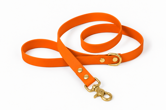 Laisse classique en Biothane® Collection Monochrome | Orange