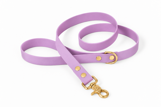 Laisse classique en Biothane® Collection Monochrome | Pastel Violet