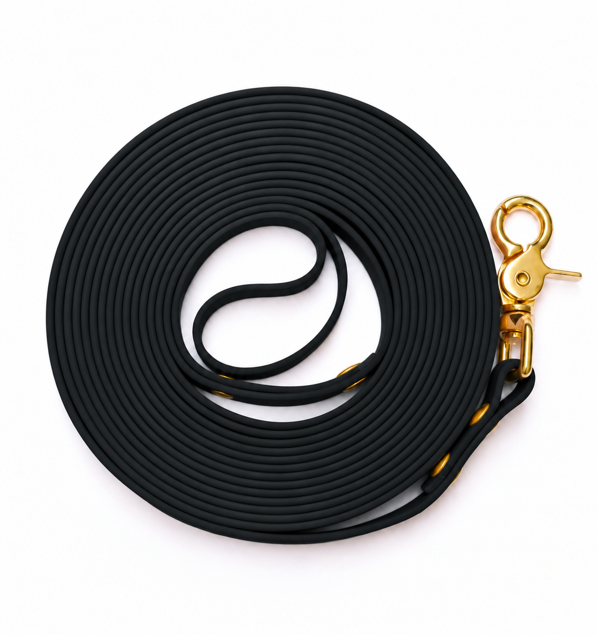 La longe en Biothane® Collection Monochrome | Noir