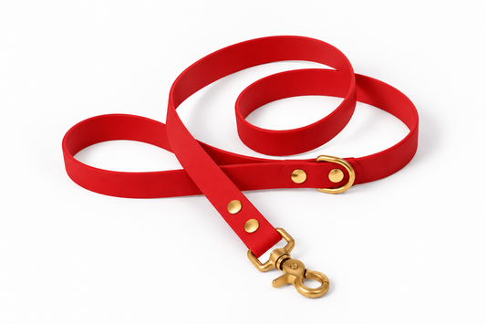 Laisse classique en Biothane® Collection Monochrome | Rouge