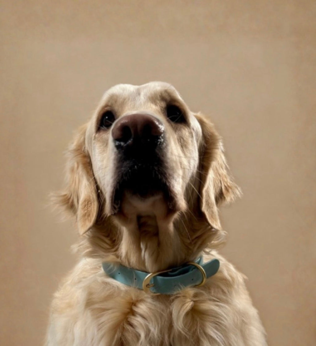 Le Collier Maison Usko - Bleu Ciel