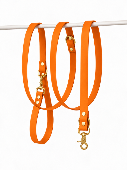 Laisse multipositions en Biothane® Collection Monochrome | Orange