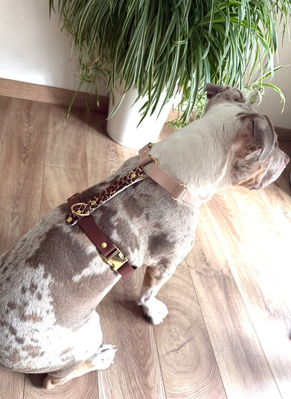 Harnais chien en Biothane sur mesure personnalisé