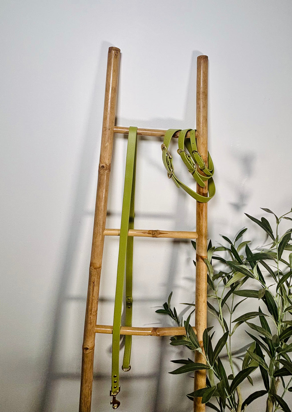 Le Collier Maison Usko - Vert doré