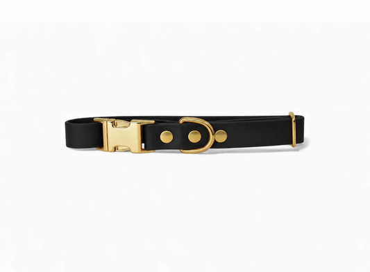 Collier Biothane® Noir