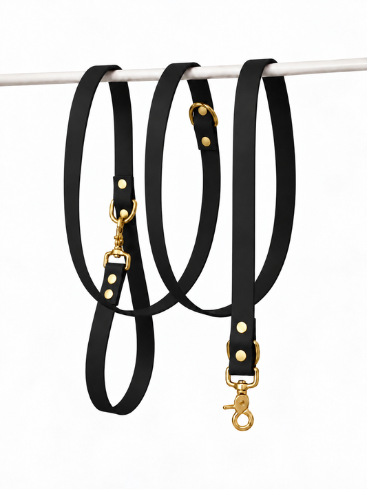 Laisse multipositions en Biothane® Collection Monochrome | Noir