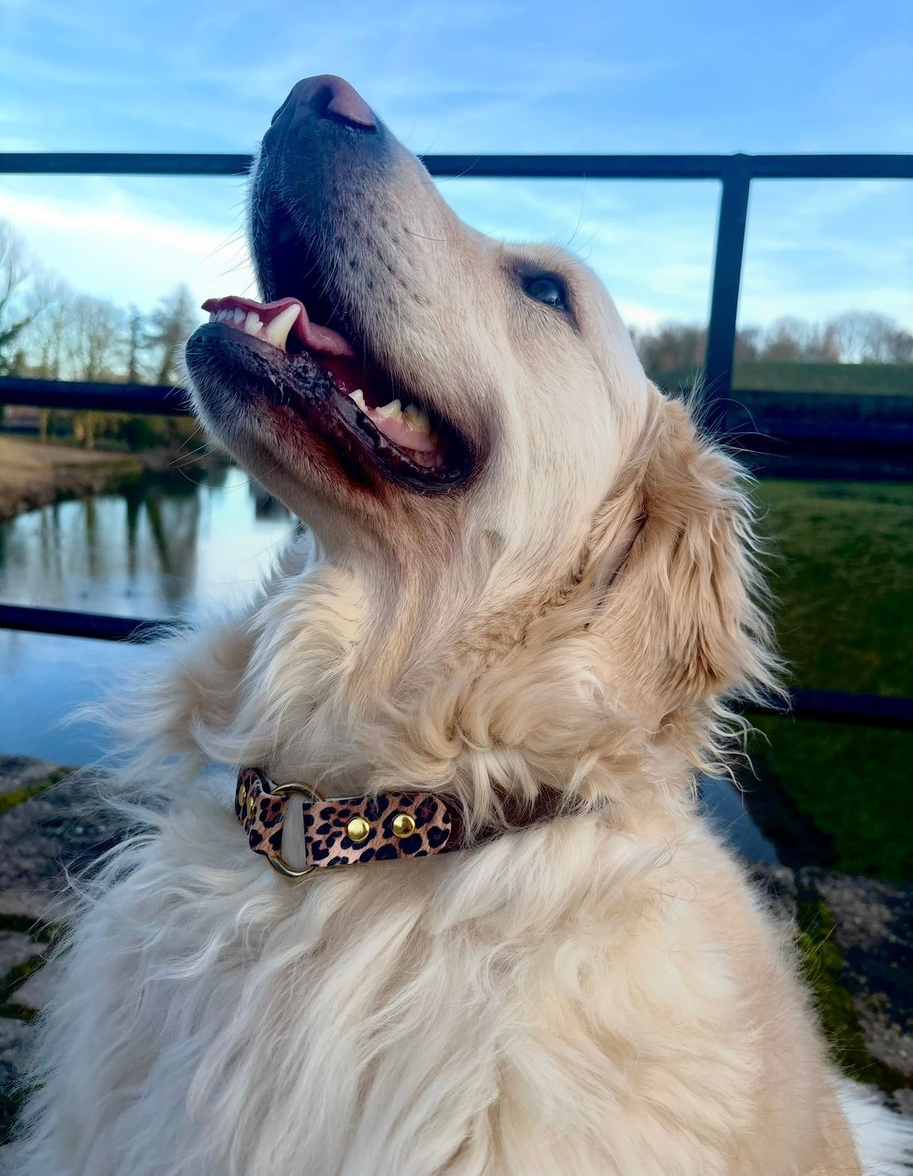 Collier LATTE SAUVAGE