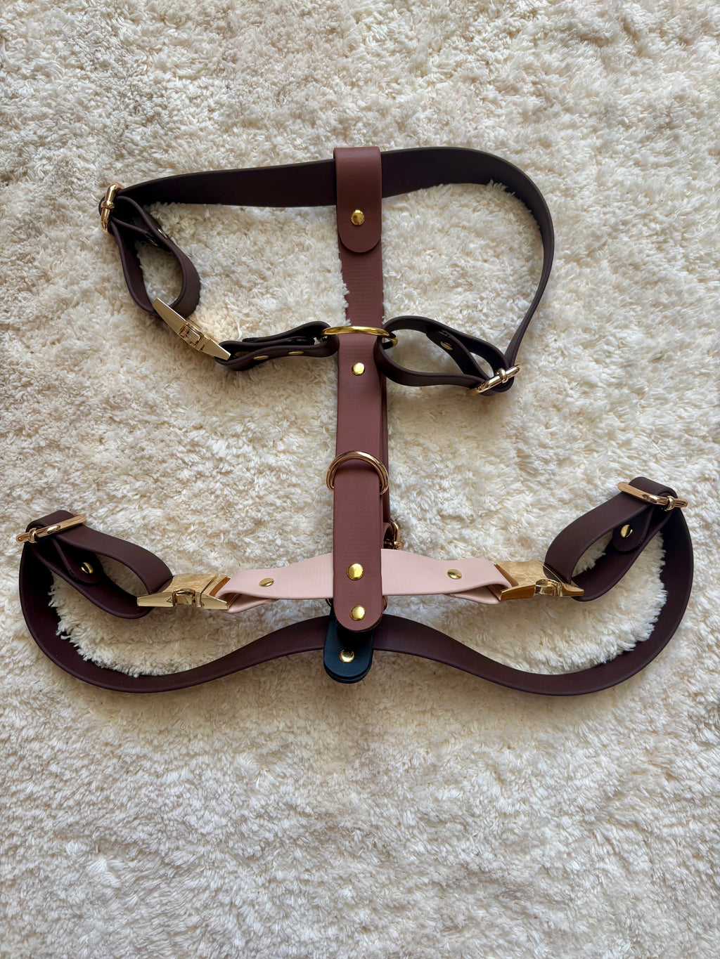 Harnais Maison Usko - MACCHIATO