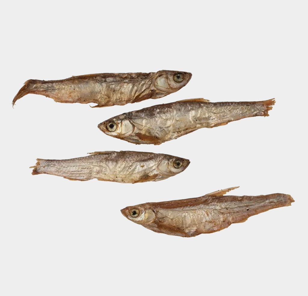 Poisson séché à l’air