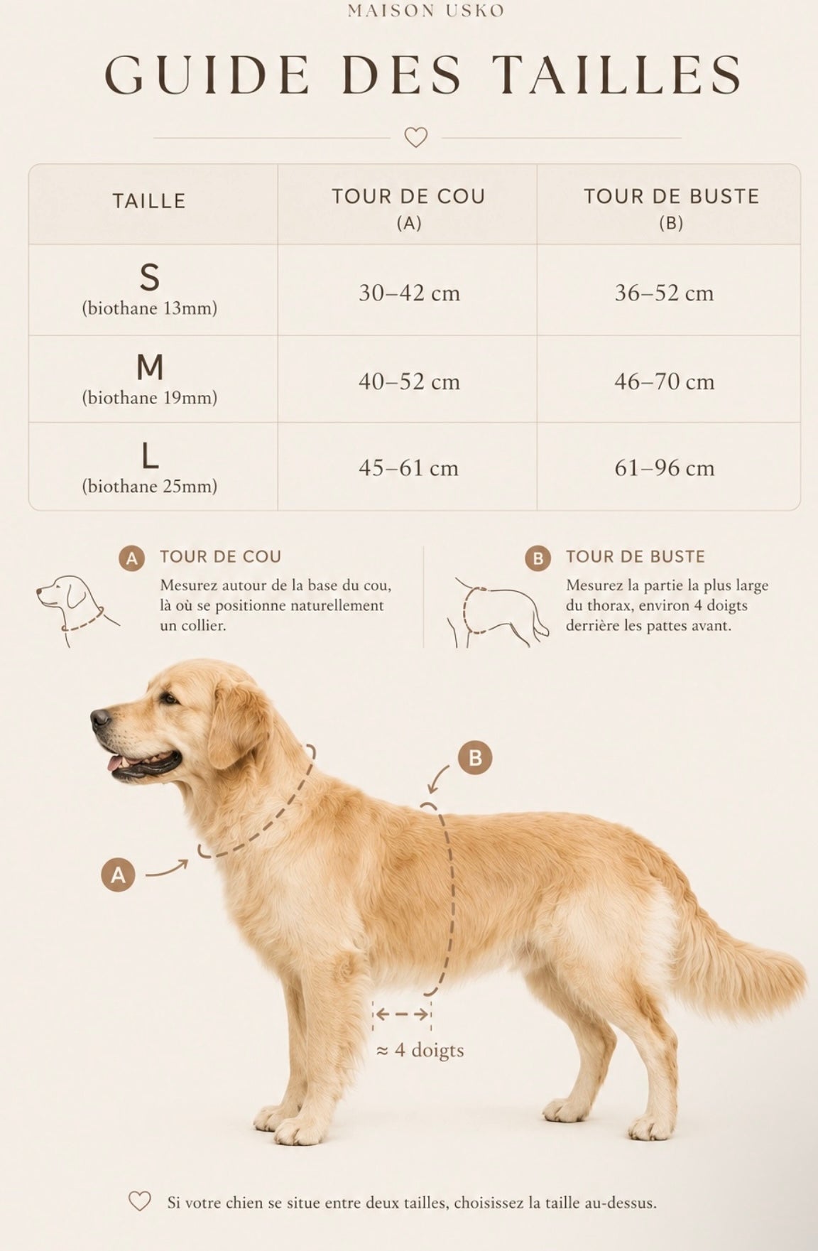 Harnais chien en Biothane – Collection Macchiato