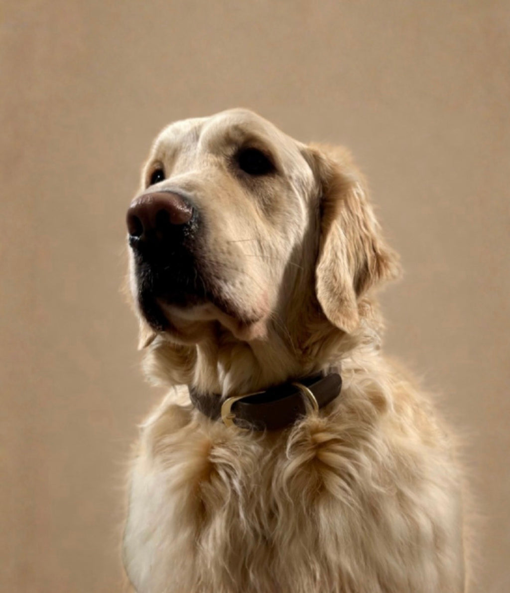 Le Collier Maison Usko - Gris Perle