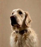 Le Collier Maison Usko - Gris Perle