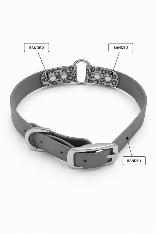 Collier en Biothane personnalisée
