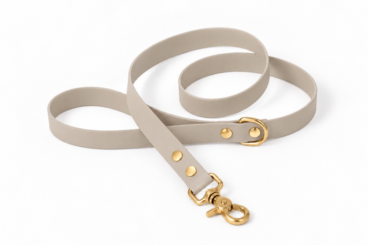 Laisse classique en Biothane® Collection Monochrome | Taupe