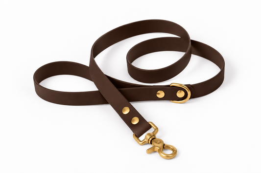 Laisse classique en Biothane® Collection Monochrome | Marron Foncé