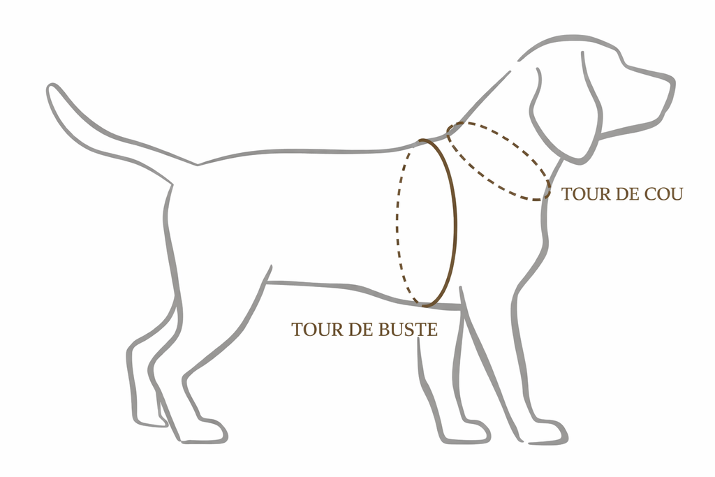 Harnais Maison Usko - MACCHIATO