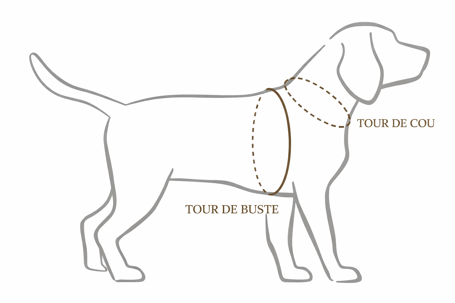 Harnais Maison Usko - MACCHIATO