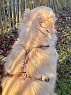 Harnais Maison Usko - LATTE SAUVAGE