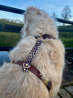 Harnais Maison Usko - LATTE SAUVAGE