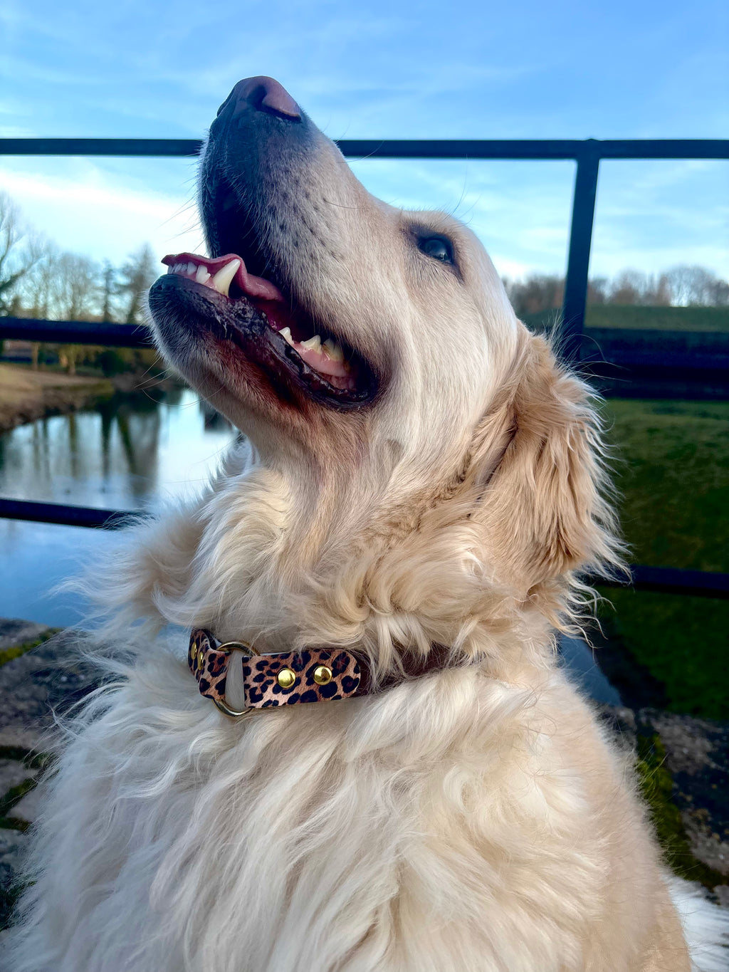 Collier Maison Usko - LATTE SAUVAGE