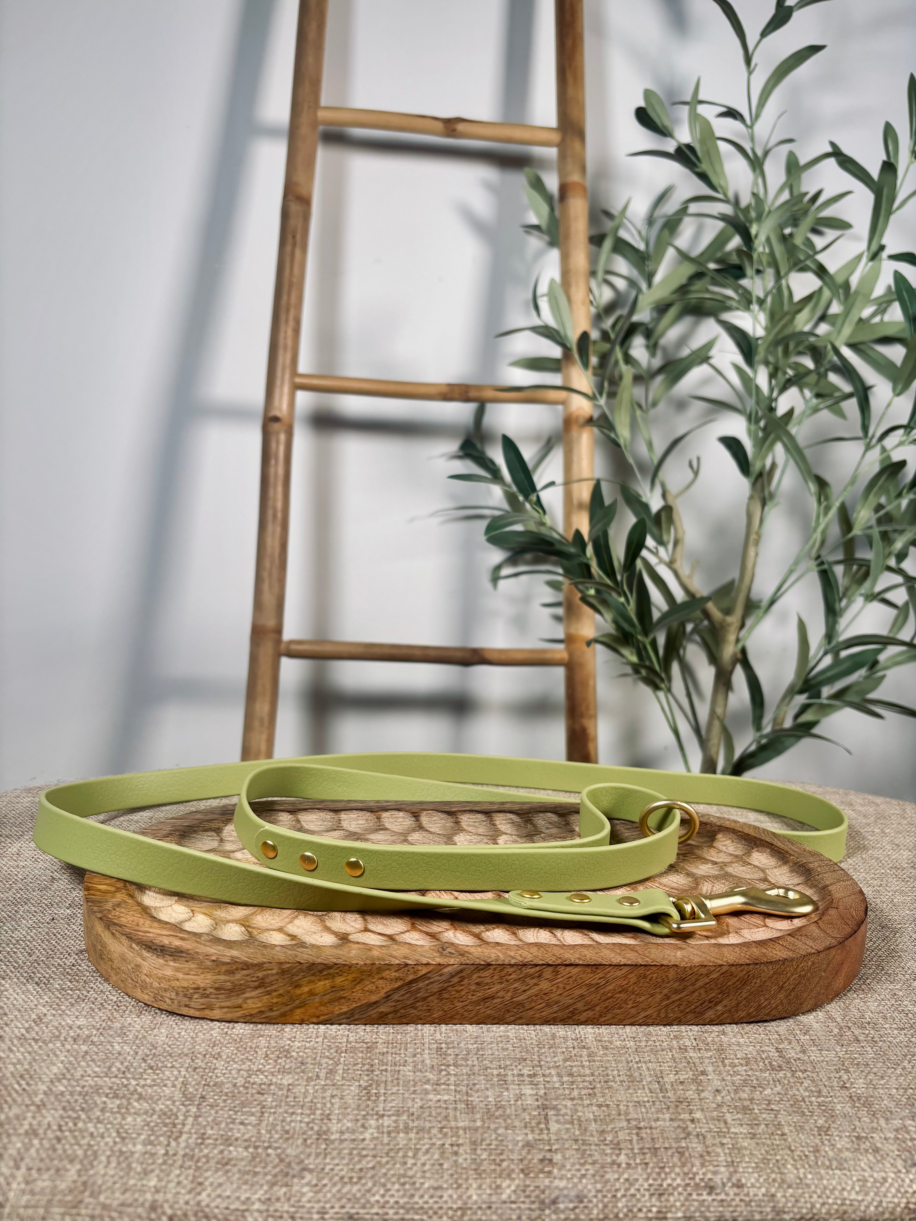 La Laisse Maison Usko - Vert Doré