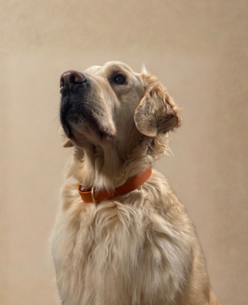 Le Collier Maison Usko - Orange Vibrant